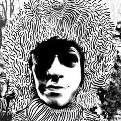 Vinylplate The Humms - Lemonland (LP)