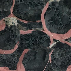 LP ploča Eric Chenaux - Say Laura (LP)