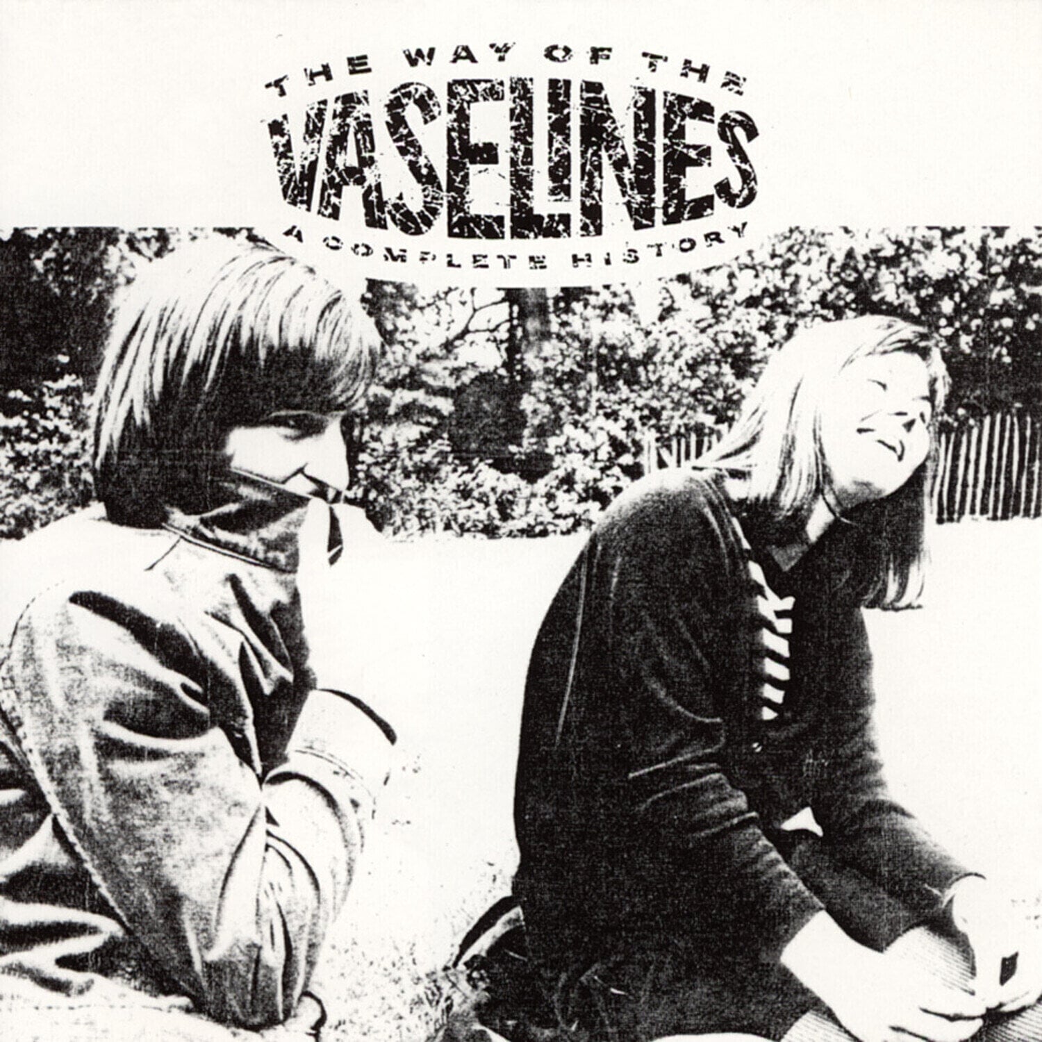 Disco de vinil The Vaselines - The Way Of The Vaselines - A Complete History (Reissue) (2 LP)