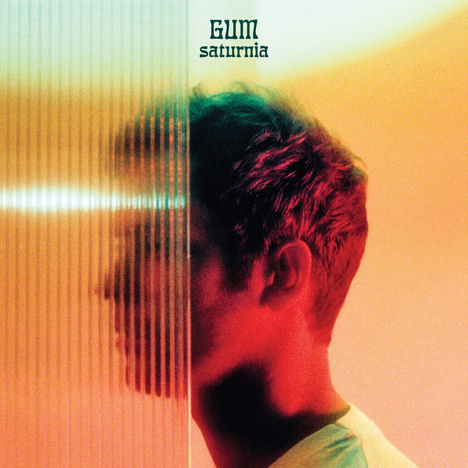 Disc de vinil Gum - Saturnia (Clear Coloured) (LP)