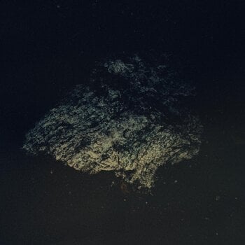 LP ploča Multicast Dynamics - Lost World (Limited Edition) (LP) - 1