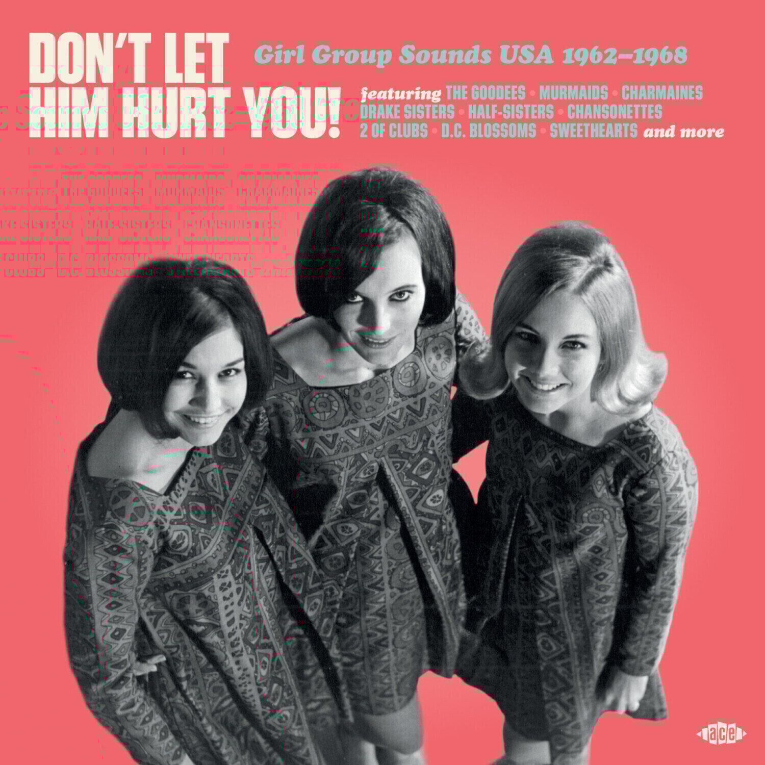 Disque vinyle Various Artists - Don't Let Him Hurt You! Girl Group Sounds USA 1962-1968 (LP)