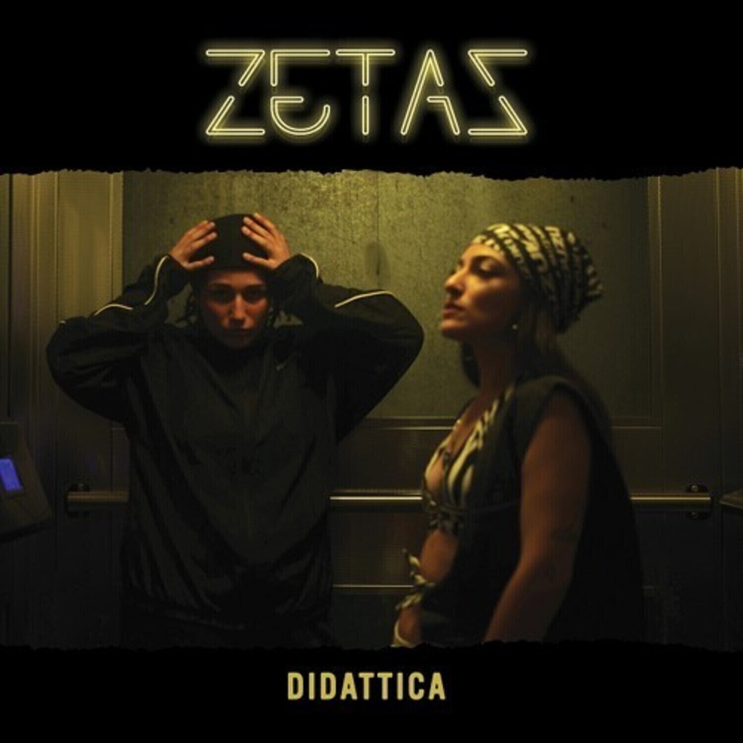 Vinylplate Zetas - Didattica (LP)