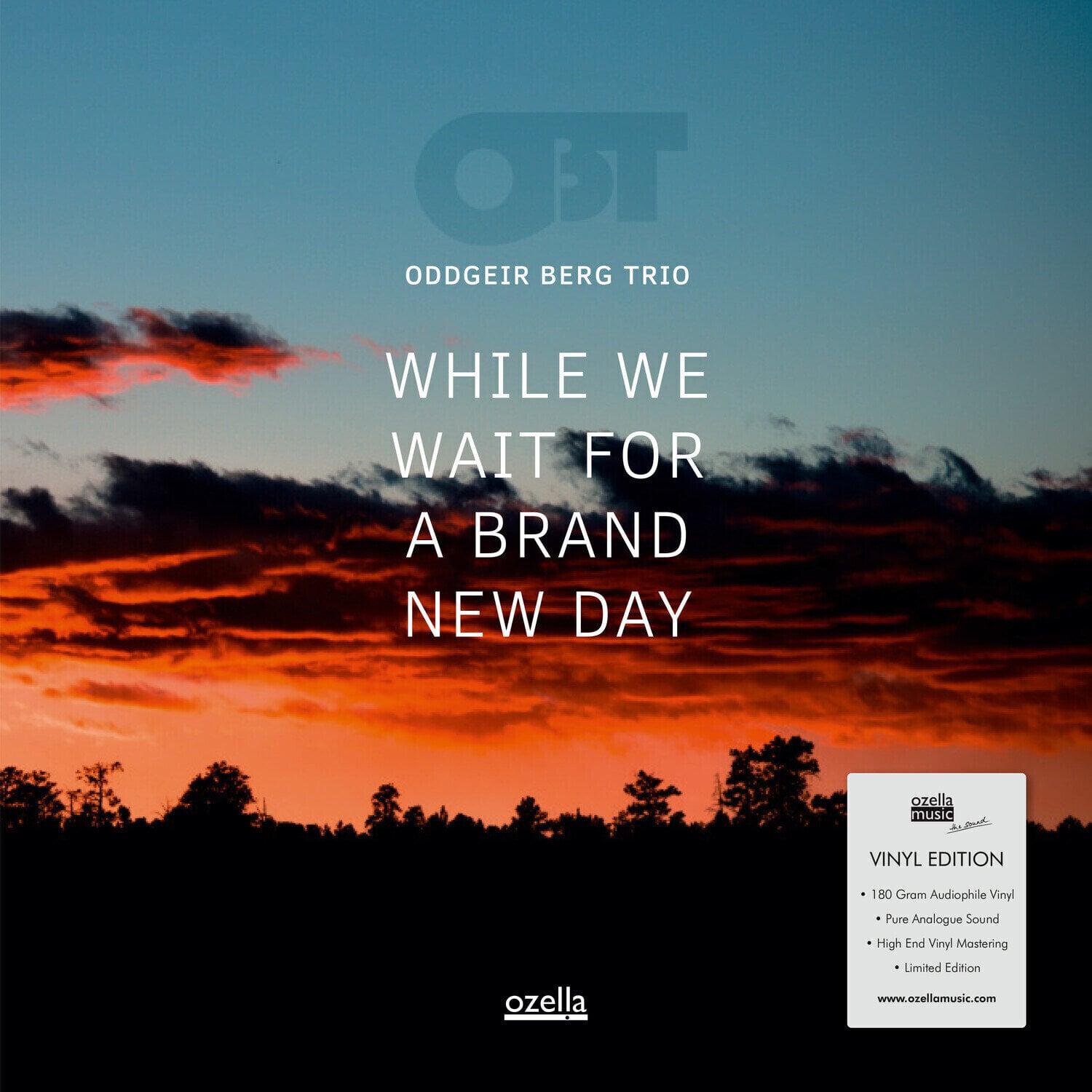 Vinylplate Oddgeir Berg Trio - While We Wait For A Brand New Day (Limited Edition) (LP)