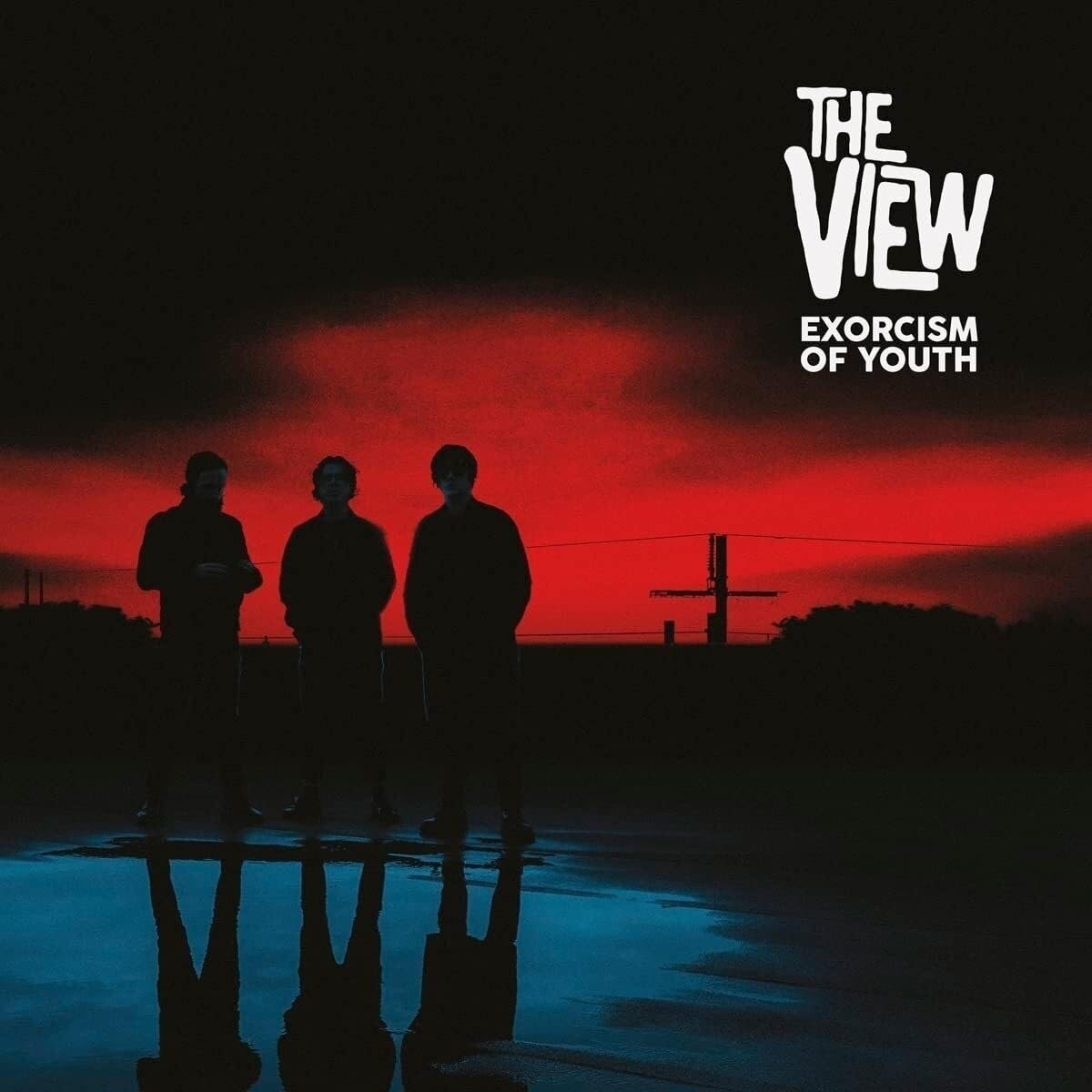 Δίσκος LP The View - Exorcism Of Youth (Limited Edition) (LP)