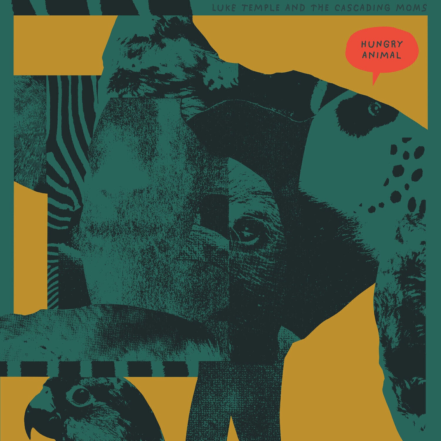 Disco de vinil Luke Temple - Hungry Animal (LP)