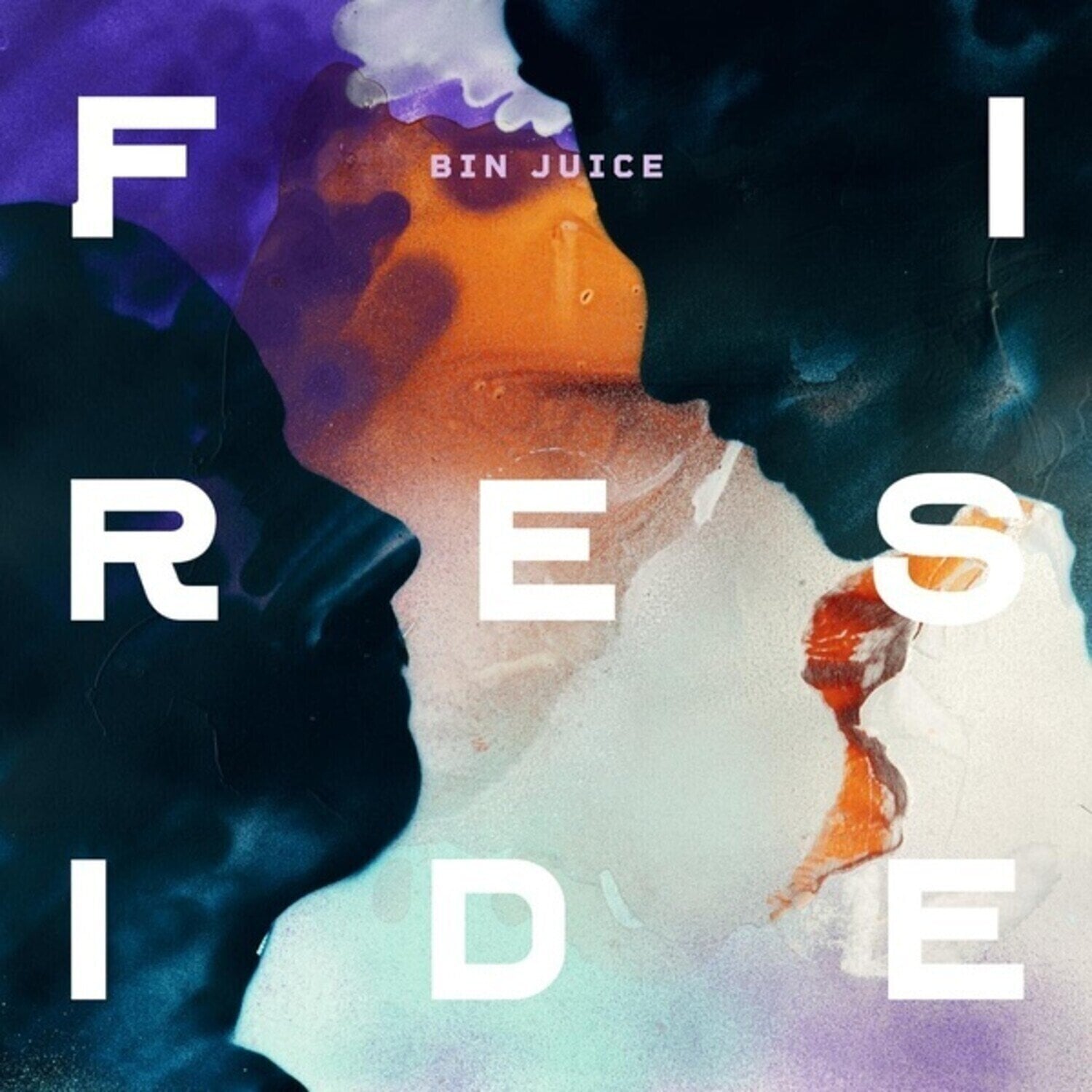 Vinylplate Fireside - Bin Juice (Limited Edition) (LP)