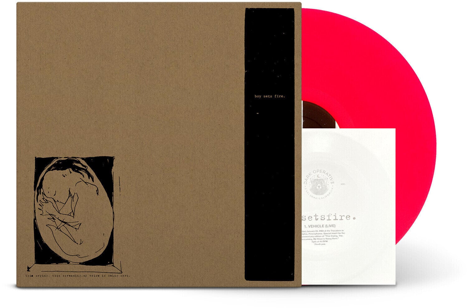 LP plošča Boysetsfire - This Crying, This Screaming, My Voice Is Being Born. (Reissue) (EP)