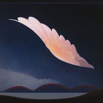 Vinyl Record Dean McPhee - Witch's Ladder (Limited Edition) (LP) - 1