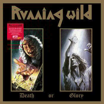 Płyta winylowa Running Wild - Death Or Glory (Reissue) (Grey Coloured) (2 LP) - 1