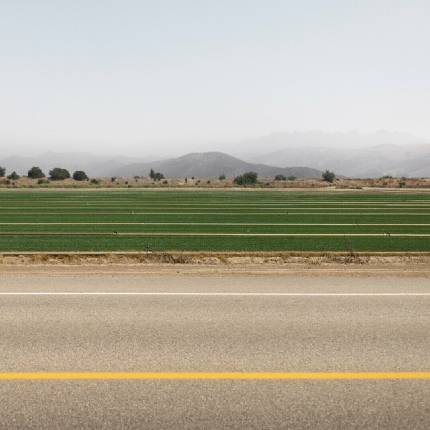 Disc de vinil Norman Westberg & Jacek Mazurkiewicz - First Man In The Moon (LP)