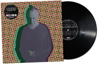 Vinyl Record Fink - Beauty In Your Wake (Acoustic) (LP)