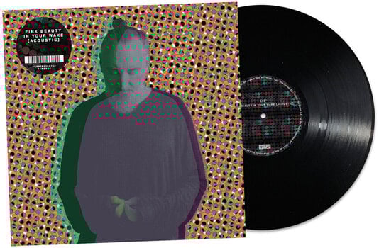Vinyl Record Fink - Beauty In Your Wake (Acoustic) (LP) - 1