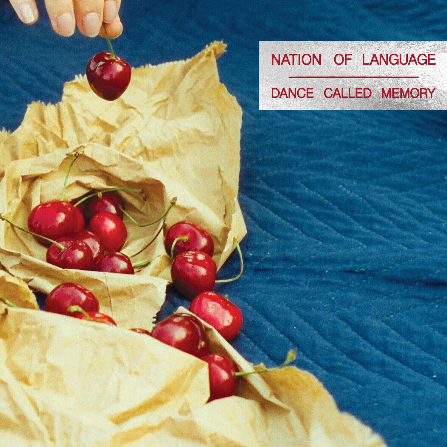 Vinyl Record Nation Of Language - Dance Called Memory (Limited Edition) (LP)