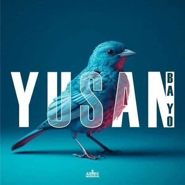 Vinyl Record Yusan - Ba Yo (LP)