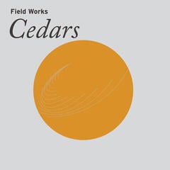 Płyta winylowa Field Works - Cedars (Limited Edition) (LP)