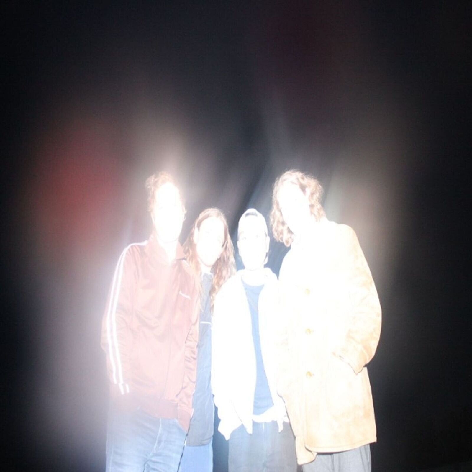 Disco de vinil Manic Youth - Perfect Health (LP)