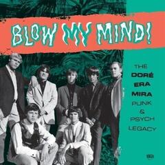 Vinyl Record Various Artists - Blow My Mind (2 LP)