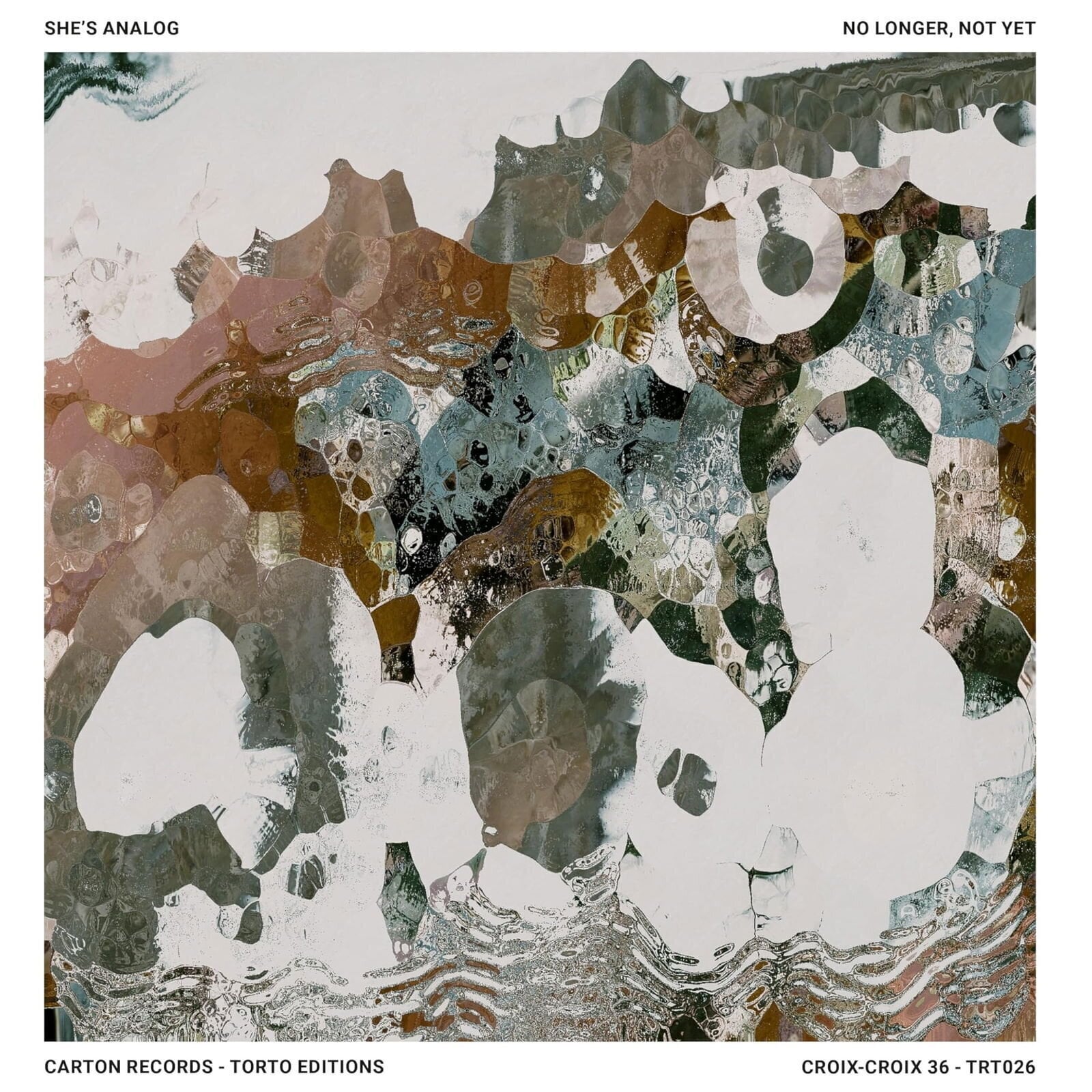 Vinyl Record She's Analog - No Longer, Not Yet (LP)