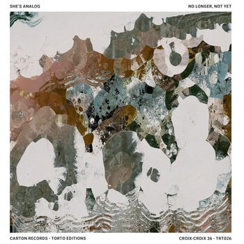 Vinyl Record She's Analog - No Longer, Not Yet (LP) - 1