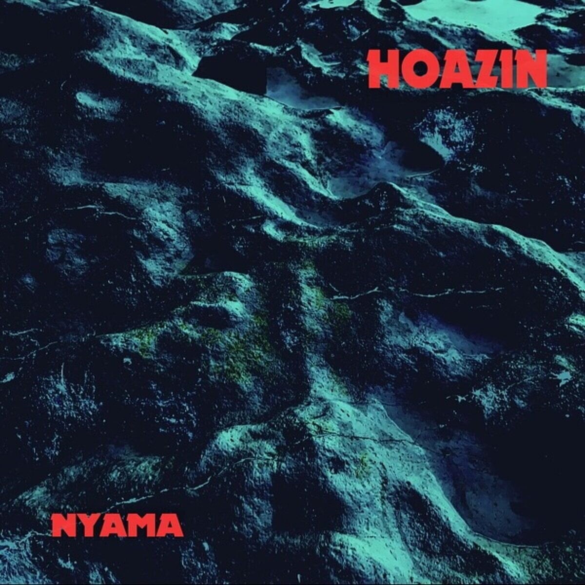LP ploča Hoazin - Nyama (LP)