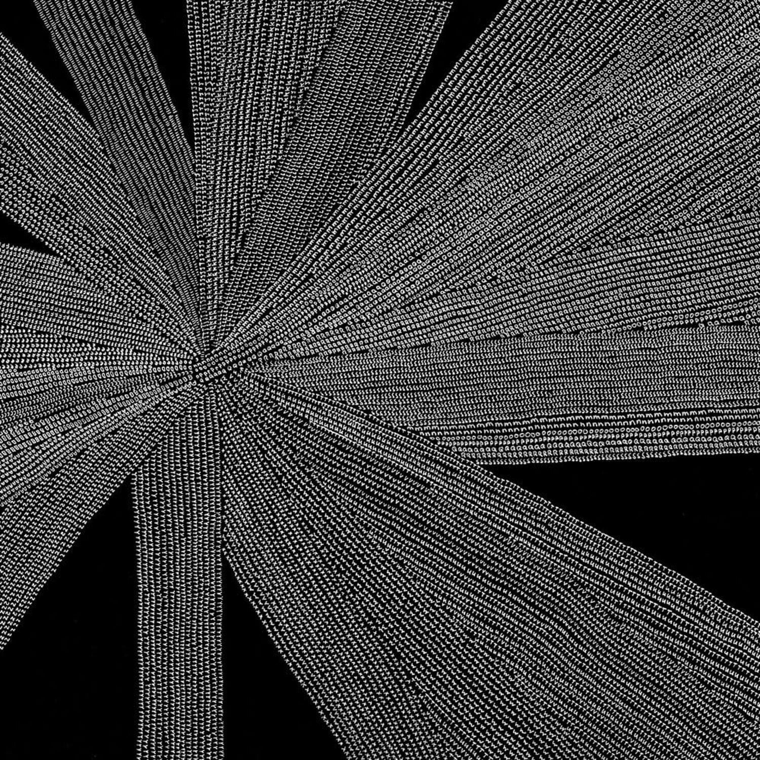 Вінілові платівки Amina Claudine Myers - Solace of the Mind (Limited Edition) (180 g) (LP)