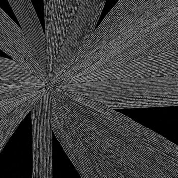 Вінілові платівки Amina Claudine Myers - Solace of the Mind (Limited Edition) (180 g) (LP) - 1