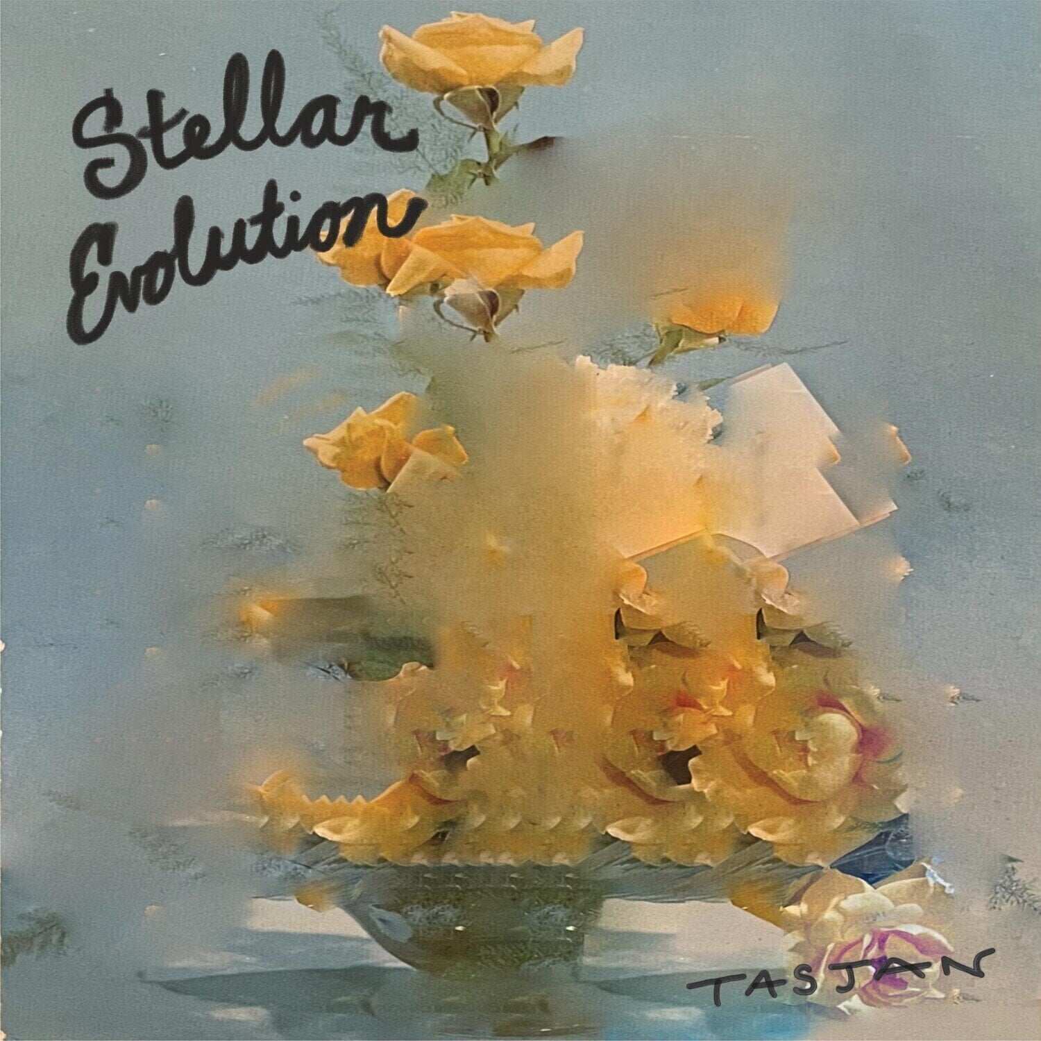 Vinyl Record Aaron Lee Tasjan - Stellar Evolution (Limited Edition) (LP)