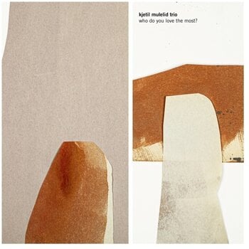 Schallplatte Kjetil Mulelid Trio - Who Do You Love The Most? (Limited Edition) (LP) - 1
