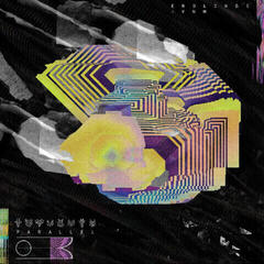 Vinyl Record Endlings & Vancouver New Music Society - Parallel 03 (LP)