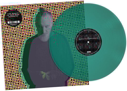 Disco de vinil Fink - Beauty In Your Wake (Numbered) (Limited Edition) (Green Gwithian Coloured) (LP) - 1