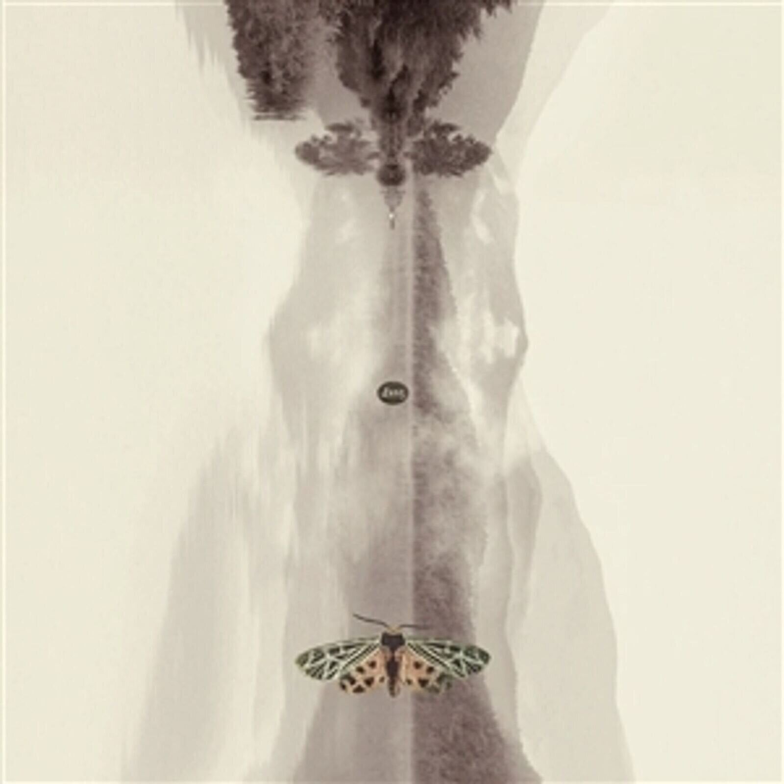 Vinyl Record Hans-Joachim Roedelius Lunz (Limited Edition) (2 LP)