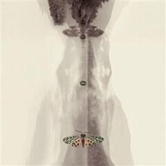 Vinyl Record Hans-Joachim Roedelius Lunz (Limited Edition) (2 LP)