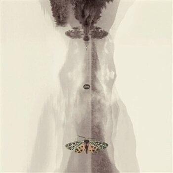 Vinyl Record Hans-Joachim Roedelius Lunz (Limited Edition) (2 LP) - 1