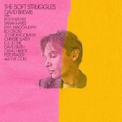 Vinylplate David Brewis - The Soft Struggles (LP)
