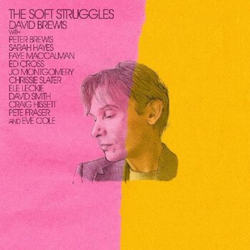 Vinylplate David Brewis - The Soft Struggles (LP) - 1