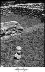 Vinyl Record Telma - Man Eater (LP)