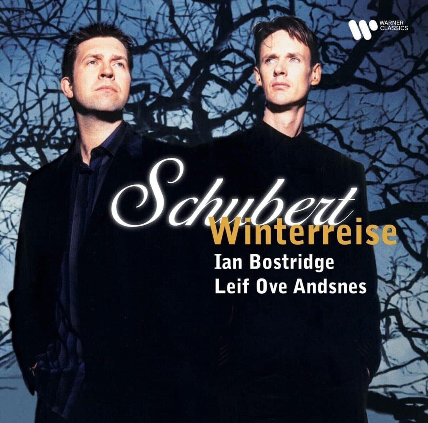 LP ploča Franz Schubert & Leif Ove Andsnes & Ian Bostridge - Winterreise (LP)