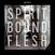 LP ploča Scott Kelly - Spirit Bound Flesh (Limited Edition) (LP)