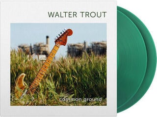 Vinyl Record Walter Trout - Common Ground (15th Anniversary) (Limited Edition) (Translucent Green Coloured) (LP)