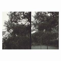 Vinyl Record Okkyung Lee - Just Like Any Other Day : Background Music For Your Mundane Activities (LP)