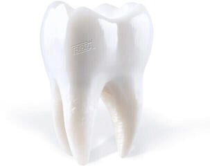 Vinyl Record Porij - Teething (LP)