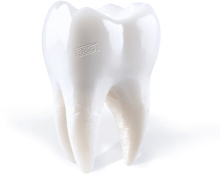 Vinyl Record Porij - Teething (LP) - 1