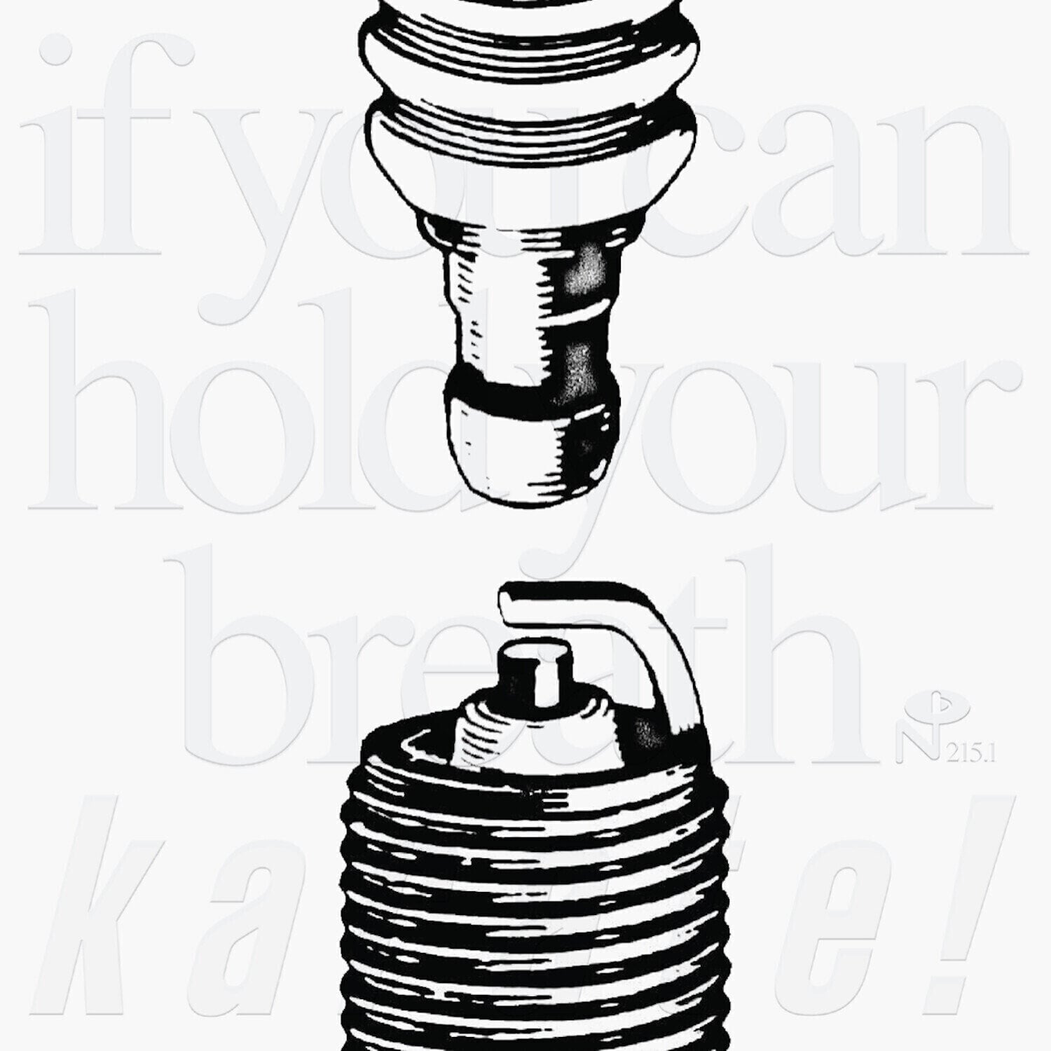 Vinyl Record Karate - If You Can Hold Your Breath (Reissue) (Box Set) (5 LP)