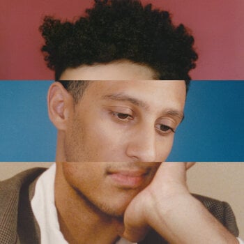 Disco de vinilo S. Raekwon - Steven (Opaque Bone Coloured) (LP) - 1