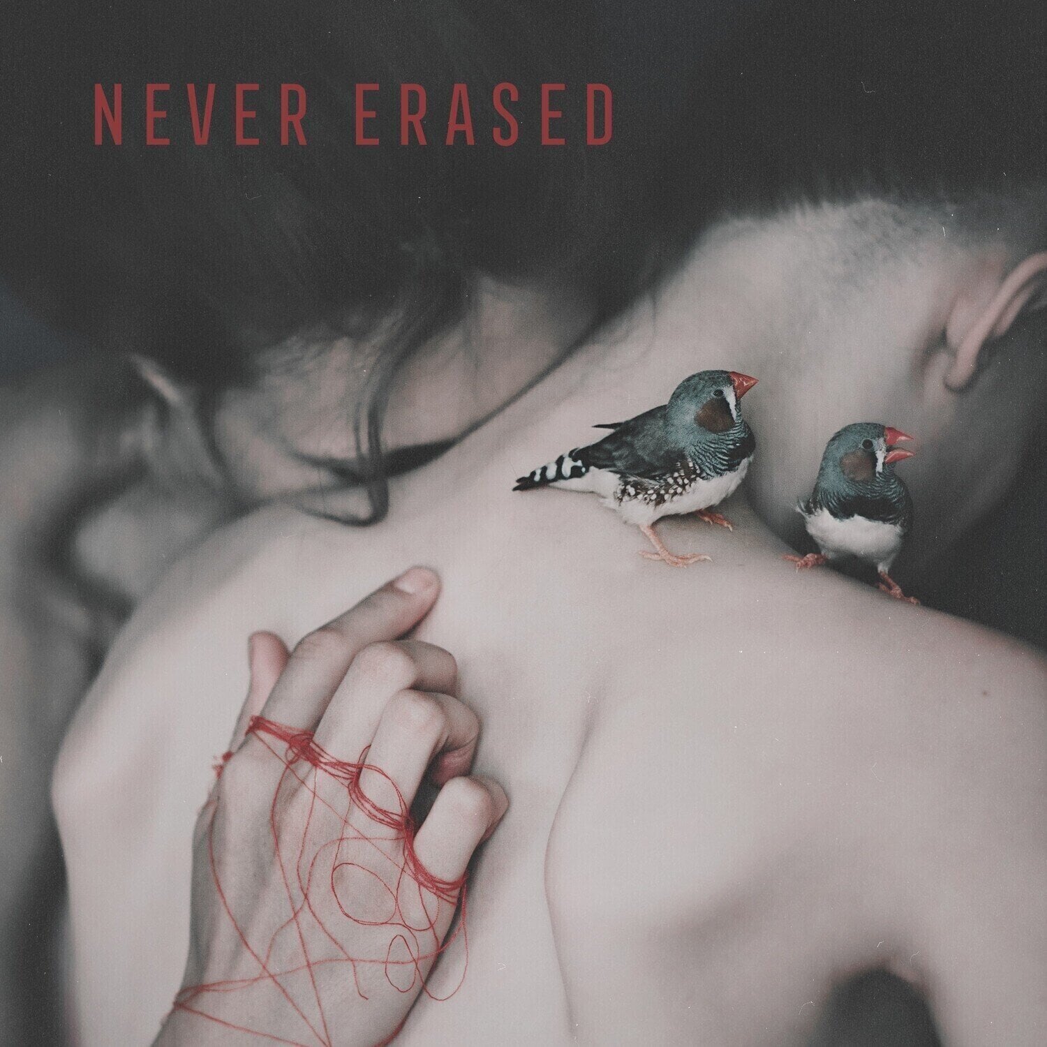 Disc de vinil Various Artists - Never Erased (Limited Edition) (LP)