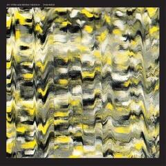 LP ploča Jim White & Marisa Anderson - Swallowtail (Limited Edition) (Translucent Yellow Splatter Coloured) (LP)