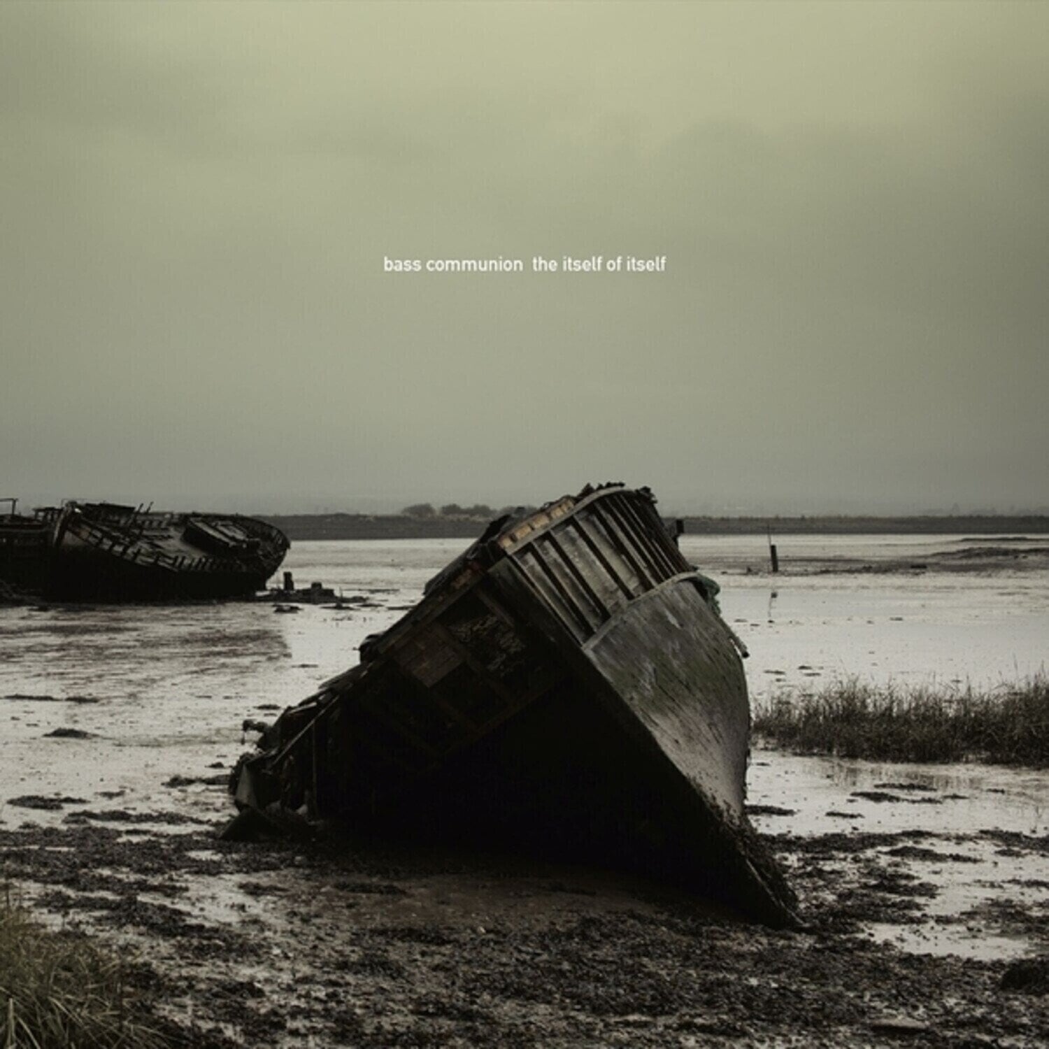 LP ploča Bass Communion - The Itself Of Itself (Deluxe Edition) (2 LP)