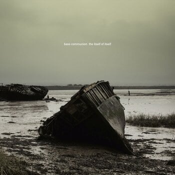LP ploča Bass Communion - The Itself Of Itself (Deluxe Edition) (2 LP) - 1