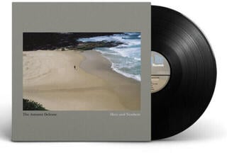 Vinyl Record The Autumn Defense - Here And Nowhere (LP)